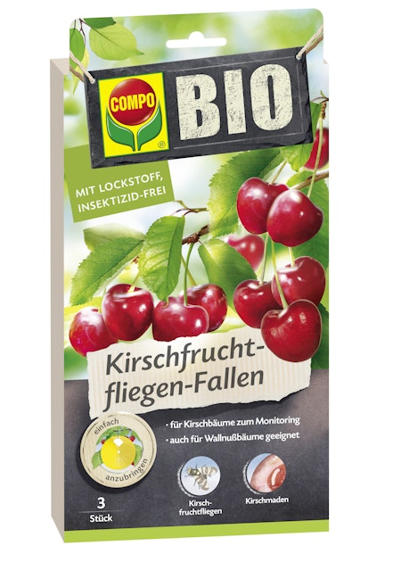 künstlicher olivenbaum 200 cm Künstlicher mediterraner Olivenbaum für den Außenbereich (für drinnen oder  draußen) 200 cm / 6 ft – contempee main image 0