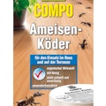 Ameisen Ameisen