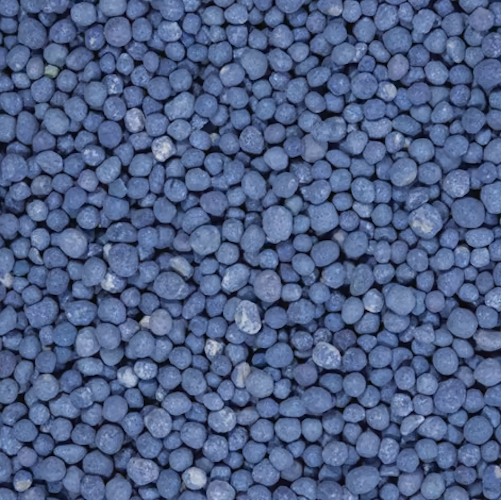 COMPO Blaukorn