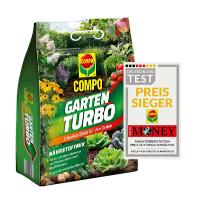 künstliche olivenbäume Lebensechter Olivenbaum