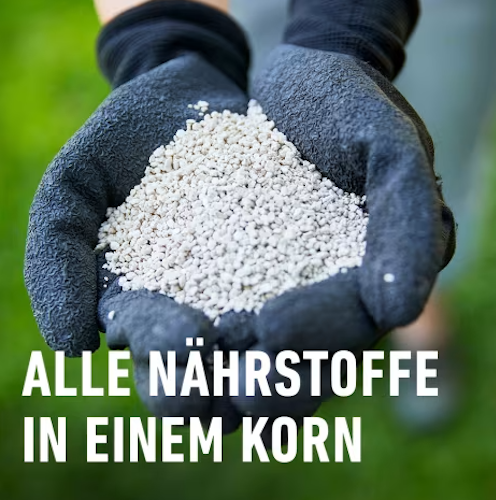 Compo Rasen-Langzeitdünger 15 kg für 600 qm