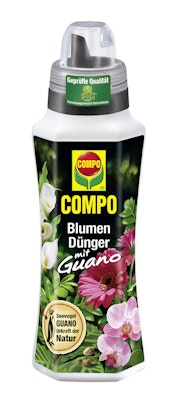 paprika saatgut gewinnen BIO Paprika Samen (Golden California Wonder)