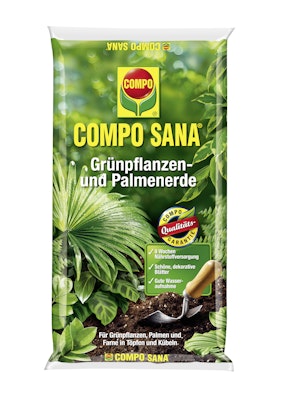 orchidee weie blten Groe Two of Us Wei mit 4 Rispen kaufen  Orchideen Klusmann