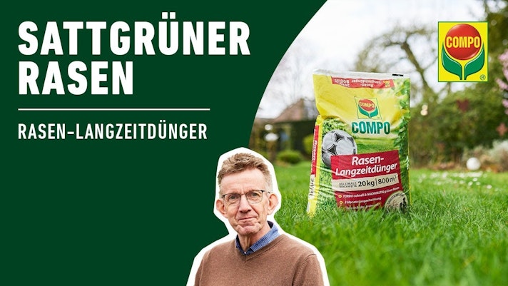 Vorschaubild Youtube-Video Vorschaubild Youtube-Video