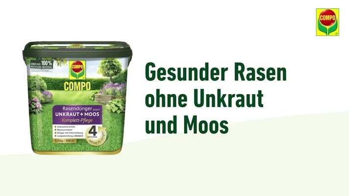 Vorschaubild Youtube-Video Vorschaubild Youtube-Video